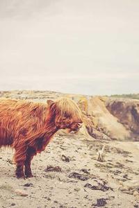 职能进阶手册 100